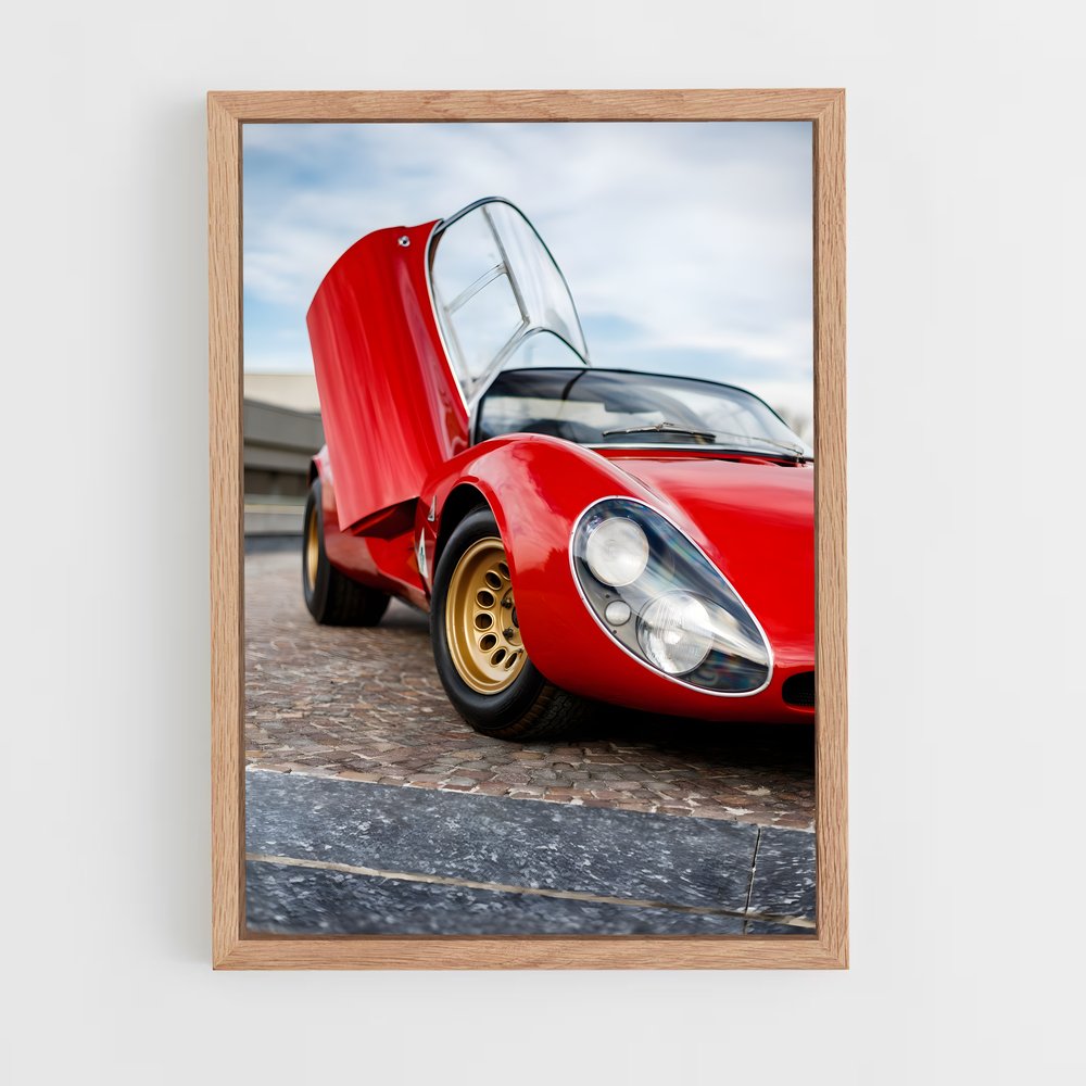Poster spider Plongée – affiche Gordon Murray (vue 4)